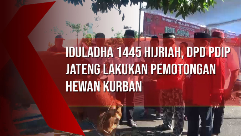 Iduladha 1445 Hijriah, DPD PDIP Jateng Lakukan Pemotongan Hewan&nbsp;Kurban