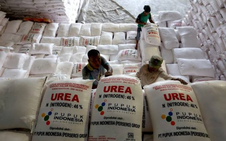 Kuota Pupuk Urea Bersubsidi di Kendal Tahun ini&nbsp;Bertambah