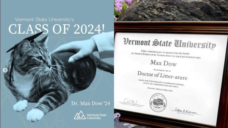 Mengenal Lebih Dekat Max Dow, Kucing Bergelar Doktor dari Vermont State&nbsp;University