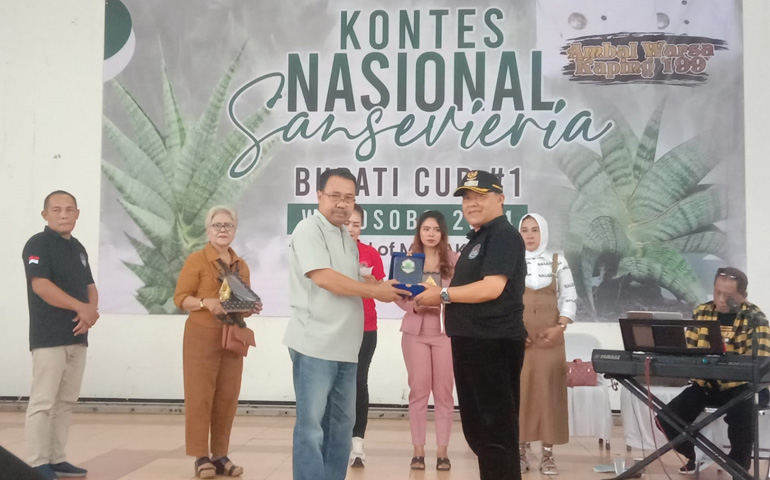 Hebat, Sansevieria Wonosobo Telah Tembus Pasar&nbsp;Ekspor