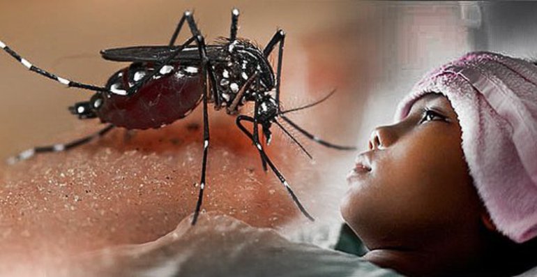 DBD di Klaten Melonjak, Tembus 1.089 Kasus dengan 31&nbsp;Kematian