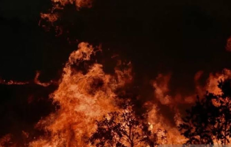 Lahan Seluas Dua Hektare di Pangkalpinang Terbakar, Diduga Ulah&nbsp;Manusia